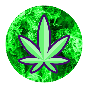 Blouds Dispensary cannabis icon flowers